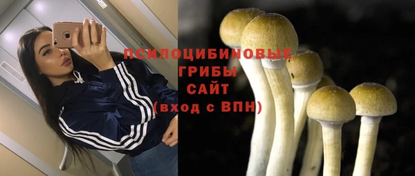 соль курить ск Алзамай