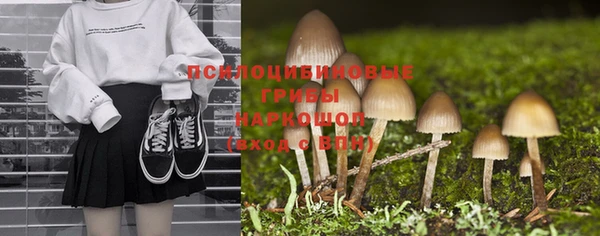 мет Алексин