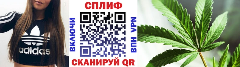 Бошки марихуана сатива  магазин  наркотиков  дарк нет состав  Буй 